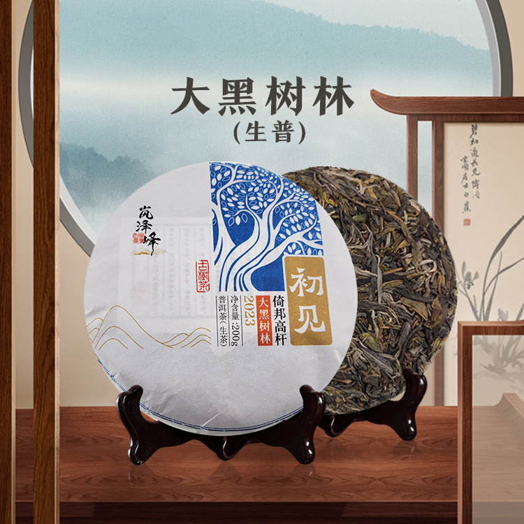 大黑树林属于古六大茶山之一倚邦茶区,它可以说是倚邦后起之秀,得益于茶品质突出。 大黑树林海拔高,云雾缭绕,生态环境俱佳,古树茶保留较多。大黑树林香气很特别,蜜香带有独特的野花香和果香,香气绵延持久,茶汤入口柔甜,口腔饱满度高,生津猛,喉韵深,山野气韵足。 倚邦除了曼松和猫耳朵,大黑树林也逐渐映入收藏玩家眼帘,也是市场上的抢手货。 倚邦高杆大黑树林(初见 生普)头春古树普洱茶